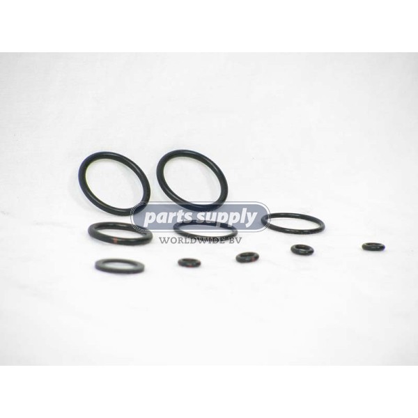 Seal kit for Terex Demag reference 41065812