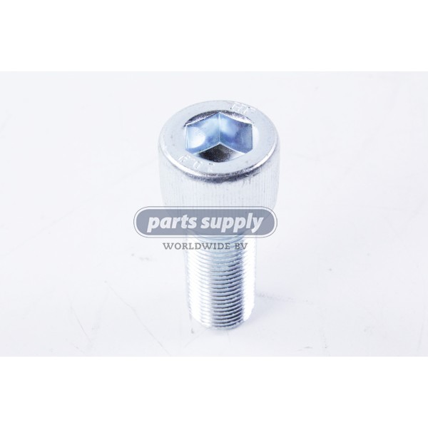 Screw for Terex Demag AC265 reference 50011398