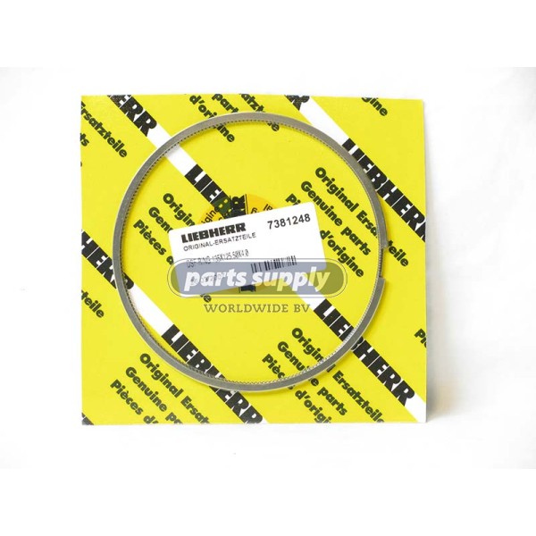 DSF-ring for Liebherr LTM1080 reference 7381248