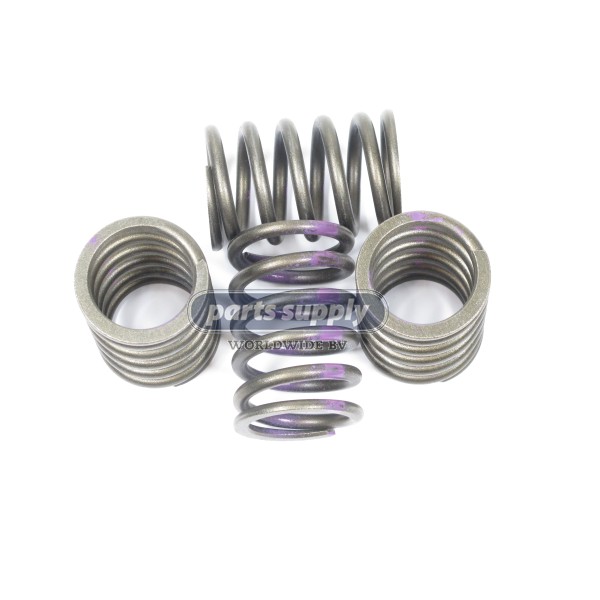 Valve spring